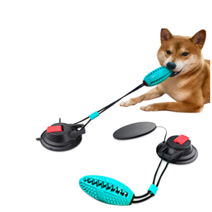 Chien