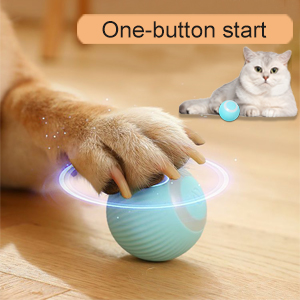 Balle de Jeux Interactive pour Chat