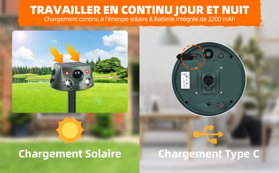 répulsif pour animaux