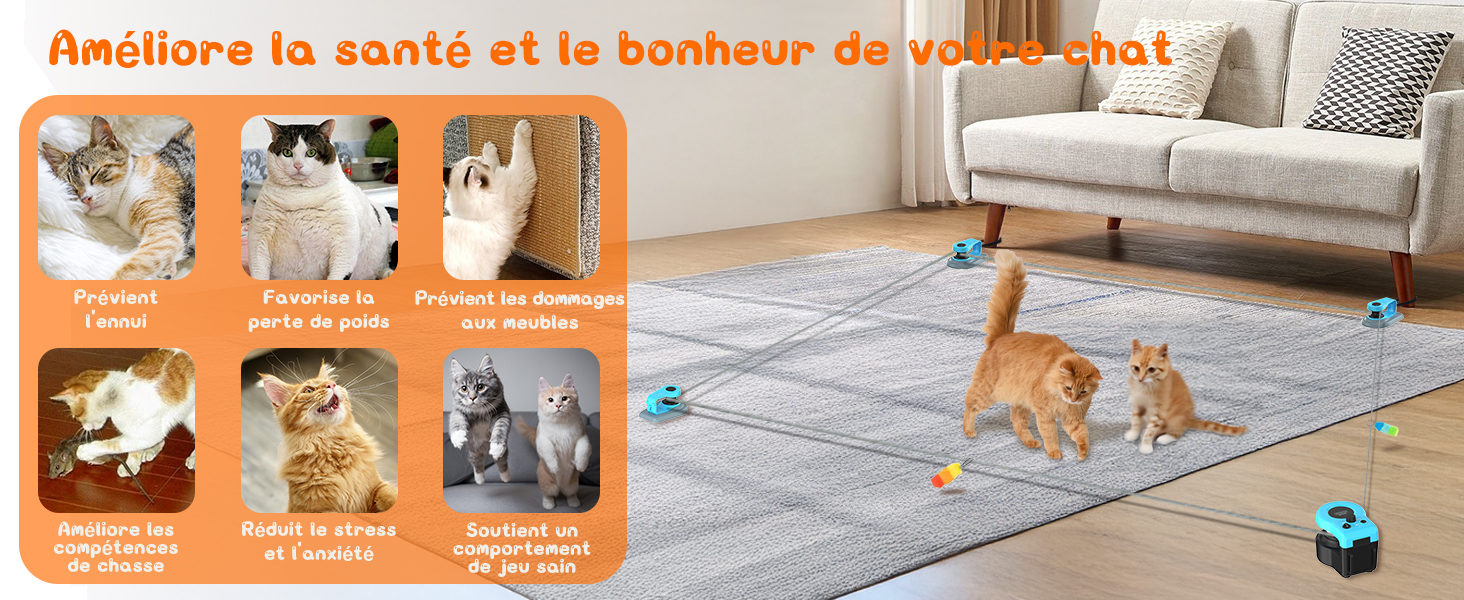 jouet pour chat interieur