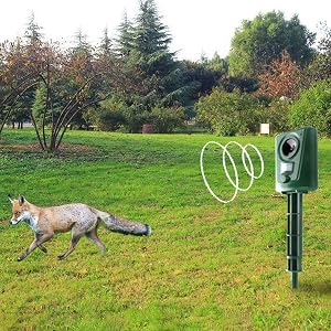 Außenansicht einer elektronischen Schrankenanlage auf einem Grasfeld mit Ein sich bewegendes Tier. Sichtbare Überwachungsstationen mit illustrierten Erfassungszonen. <img src=