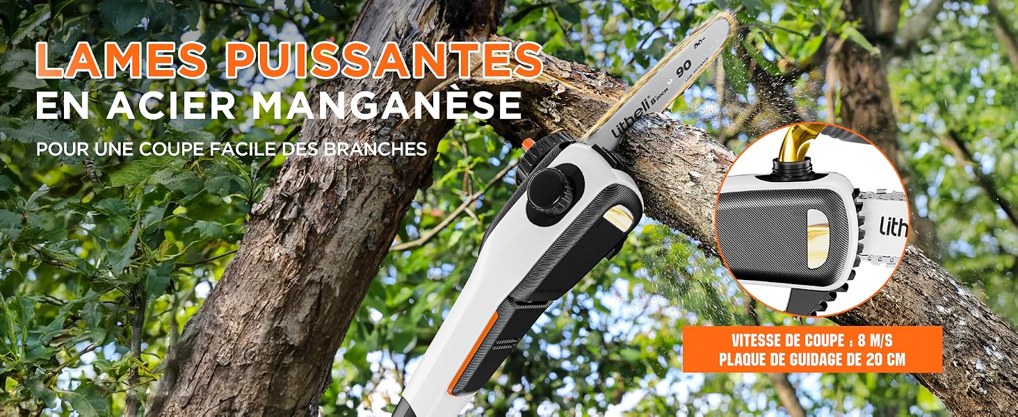 une branche à laquelle est attachée une tronçonneuse