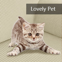 Lovely Pet