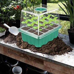 Jardinière à semis pour chambre à coucher, serre.