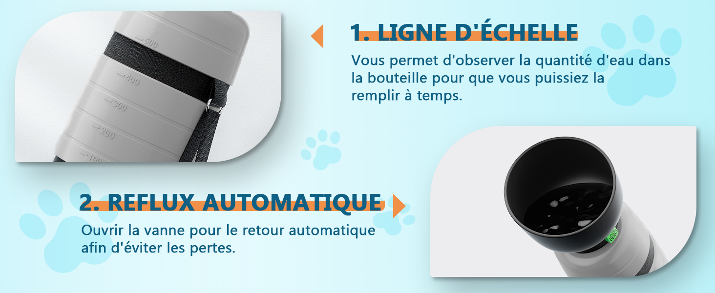 bouteille chien