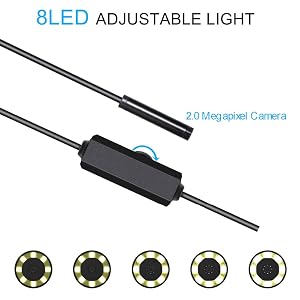 8LED Light