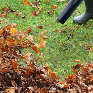 Soufflage de feuilles