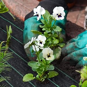 bache anti mauvaise herbe
