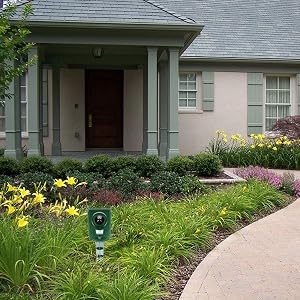 Le texte indique « Image 5 ».
[SENTENCE 12] Extérieur de la maison de style ranch avec jardin paysager orné d'hémérocalles jaunes et d'une passerelle incurvée.
[SENTENCE 13] Détecteur de mouvement visible dans le jardin.