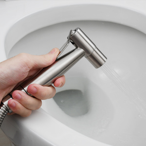 Douchette Wc Acier Inox Douchette à Main Bidet avec