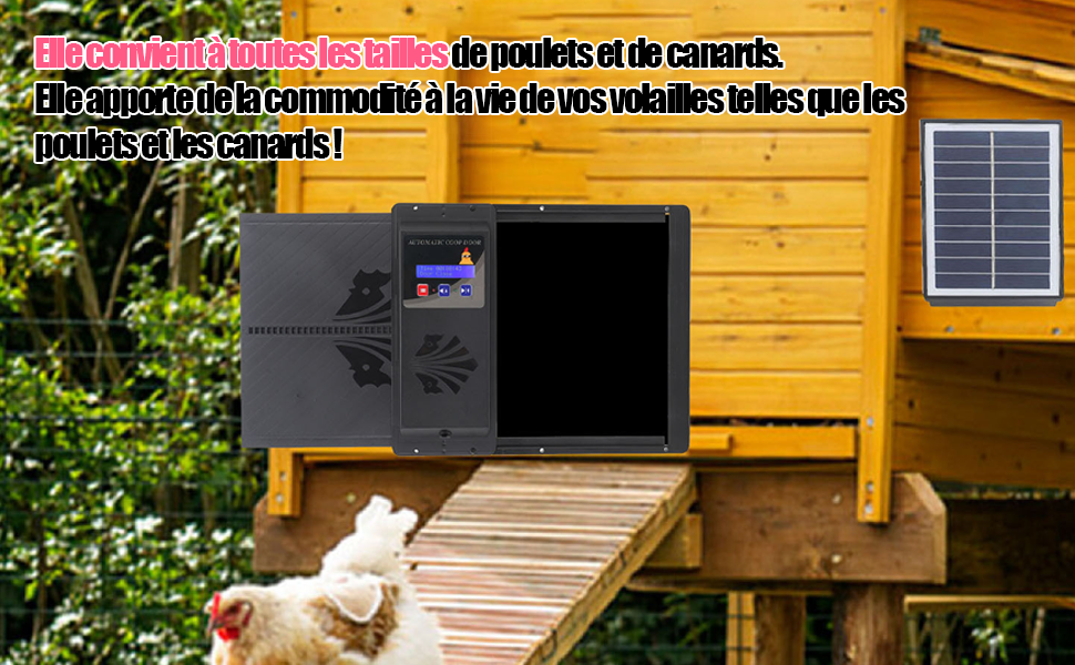 Porte automatique pour poulailler