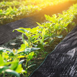 geotextile