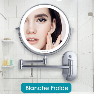 Miroir de courtoisie