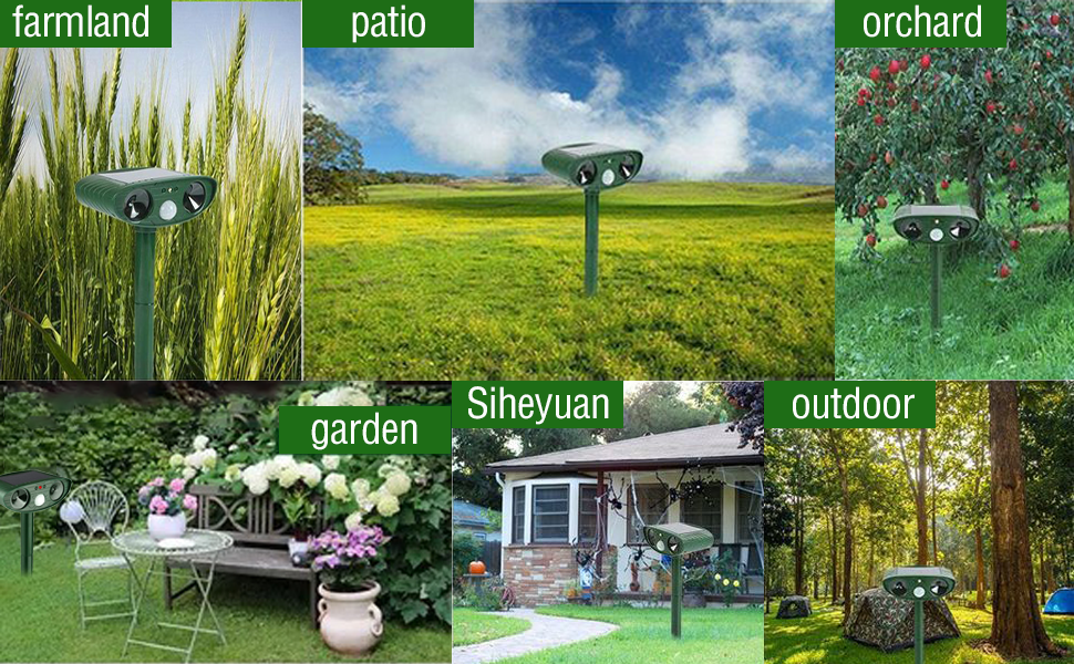 un collage de photos d'un jardin.