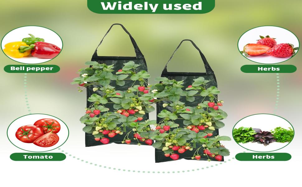 Sac de Culture à Fraises Suspendu