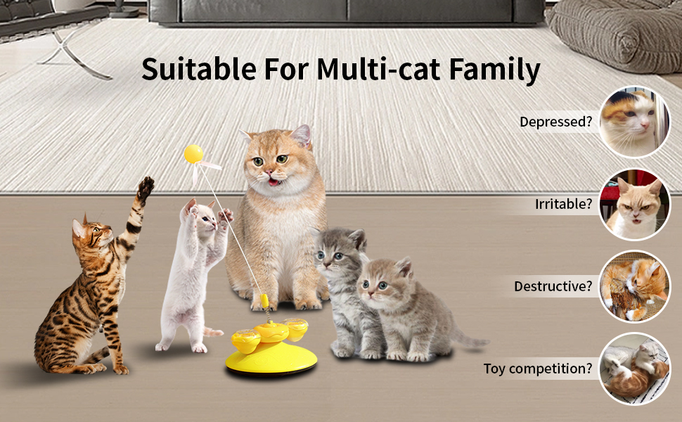 jouets pour chats