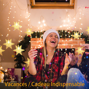 Rideau Lumière Noël Blanc Chaud