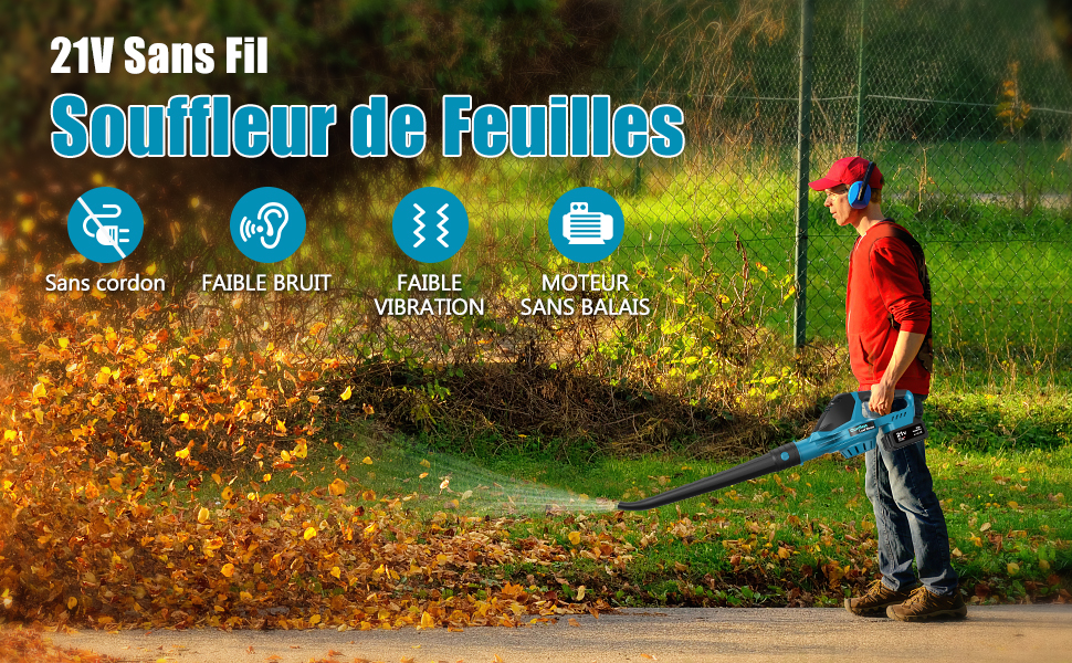 Souffleur de feuilles sans fil 1