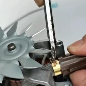 Carbon Brush