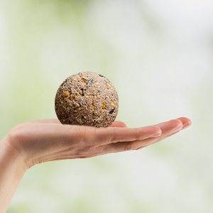 Support pour boules de graisse