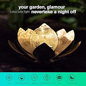 Décor De Fleur De Lotus Avec Globe En Verre Craquelé