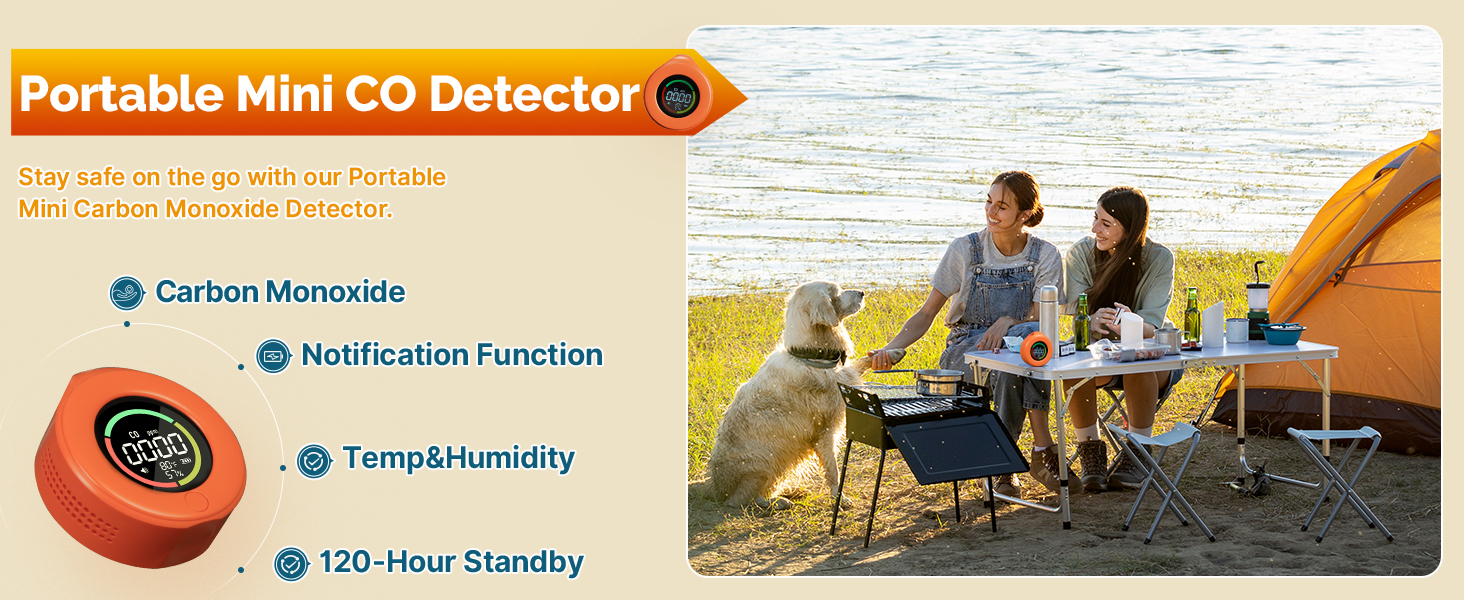 MOES CO DETECTOR