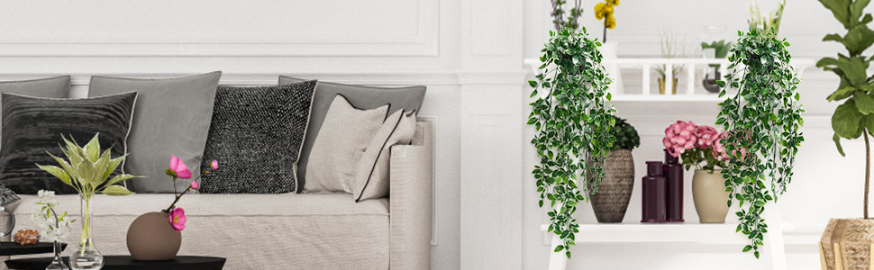 un salon blanc avec une plante au mur
