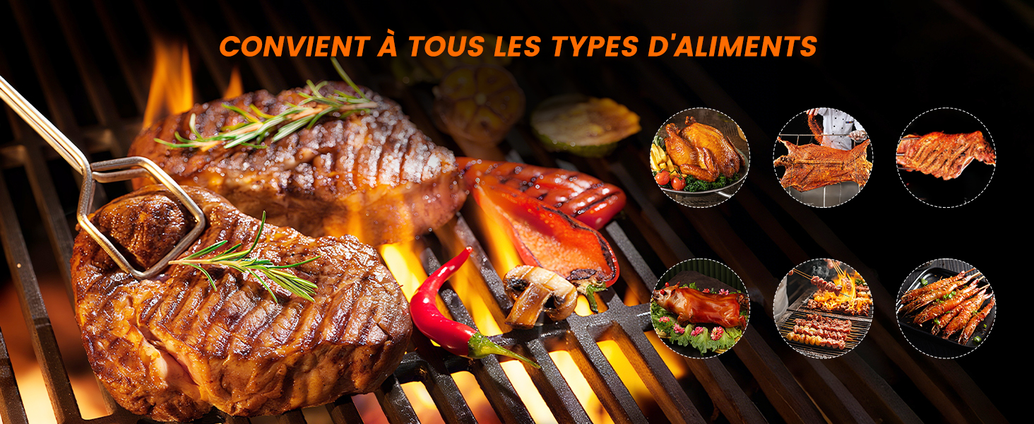 Le texte se lit comme suit : « CONVIENT À TOUS LES TYPES D'ALIMENTS ».
[SENTENCE 6] Plans rapprochés de diverses viandes en train d'être grillées, montrant des marques de gril et des flammes.