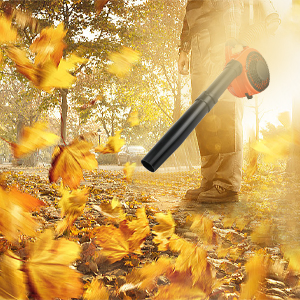Souffleur de Feuilles de Carburant
