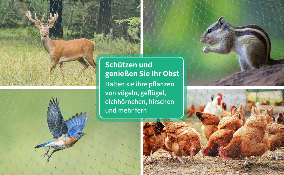 Filet Anti-Oiseaux