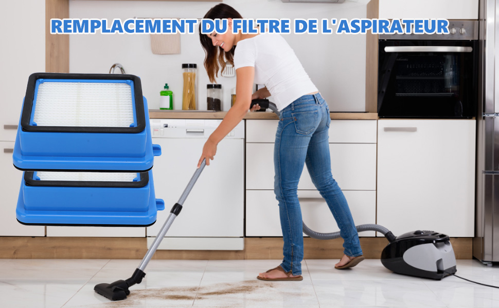 Filtre pour aspirateur Electrolux Q6