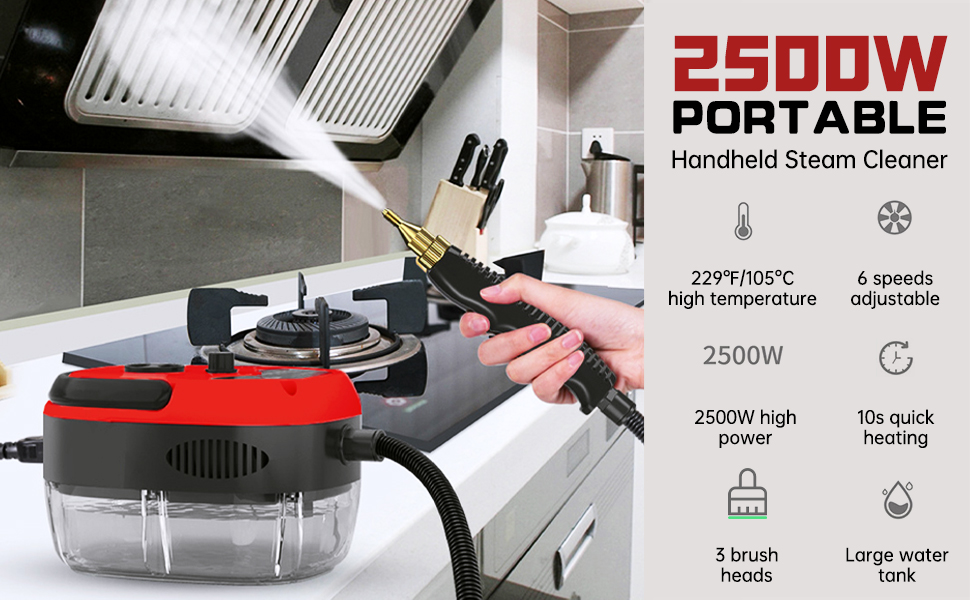 Nettoyeur Vapeur Portable