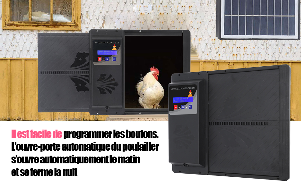 Porte automatique pour poulailler