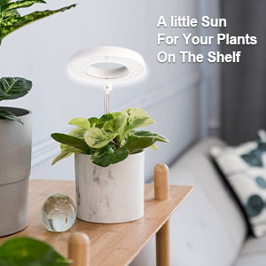 lampe horticole led spectre complet lampe plante interieur lampe led horticole lampe de culture