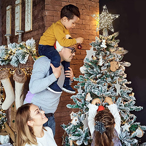 étoile de noel
