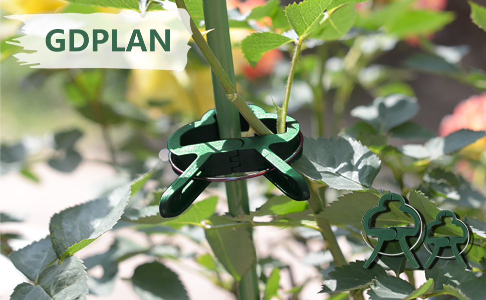Clip de plant GDPLAN