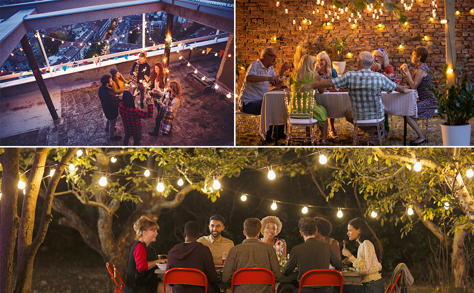 festoon garden string lights