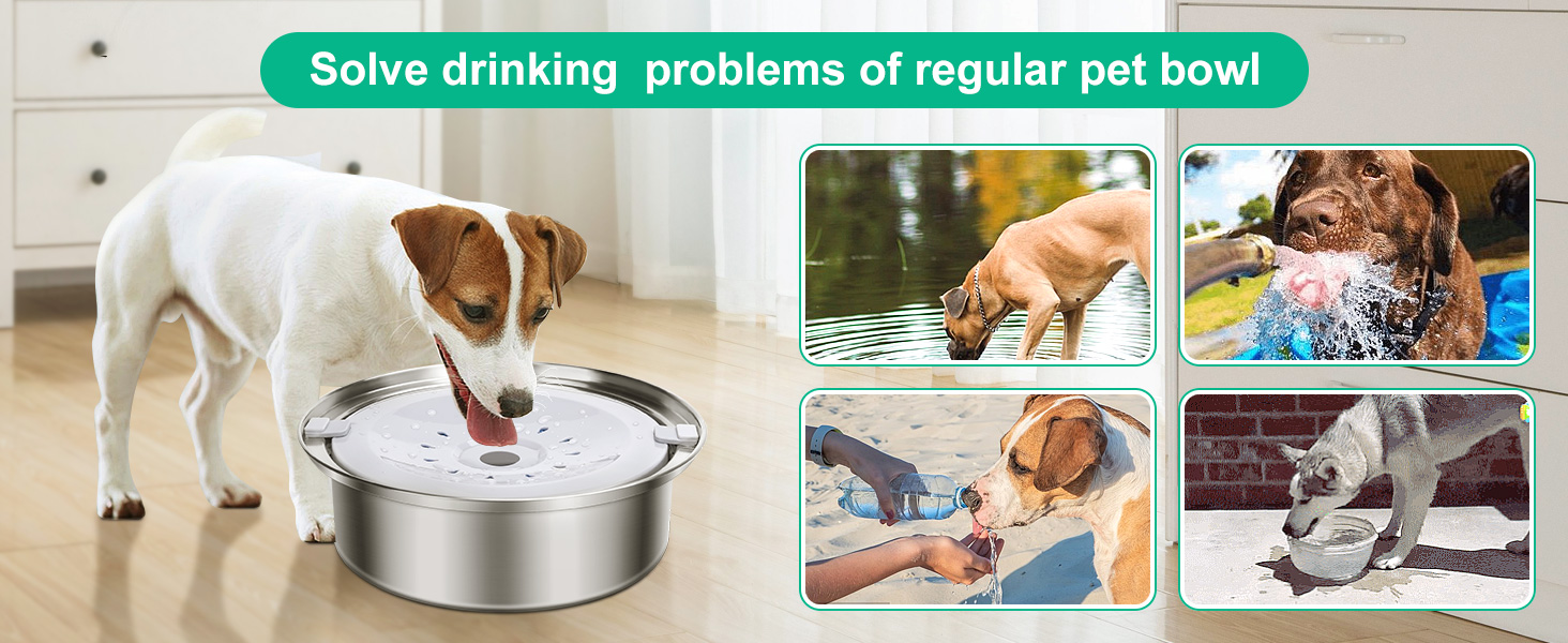 86oz plus grand Distributeur d'eau potable anti-éclaboussures pour animaux de compagnie avec filtres 