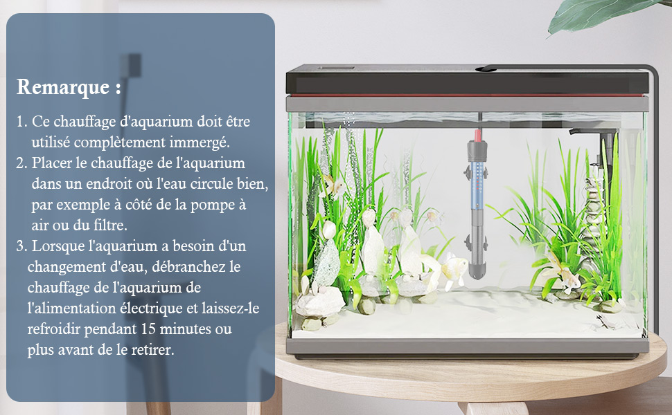 remarque