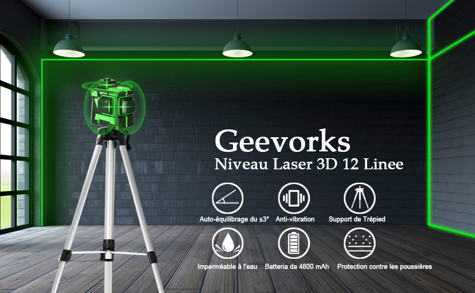 Professional Niveau Laser