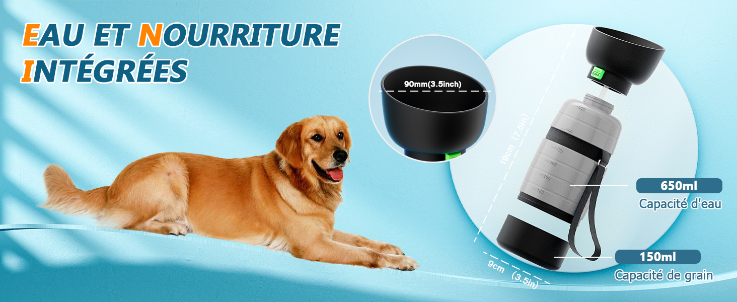 bouteille d eau chien