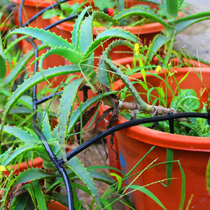  Raccords micro irrigation