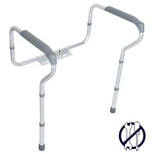 Toilet support