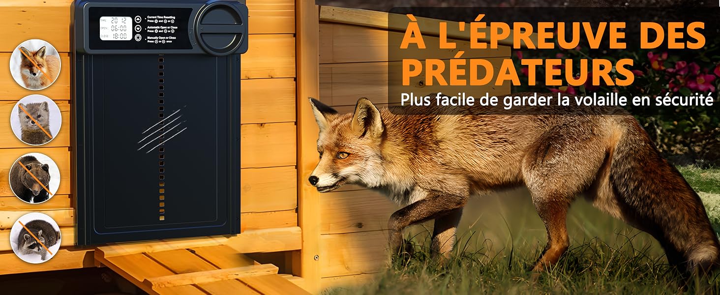 Porte automatique poulailler