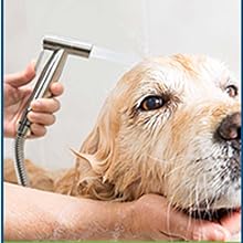 Use for PET