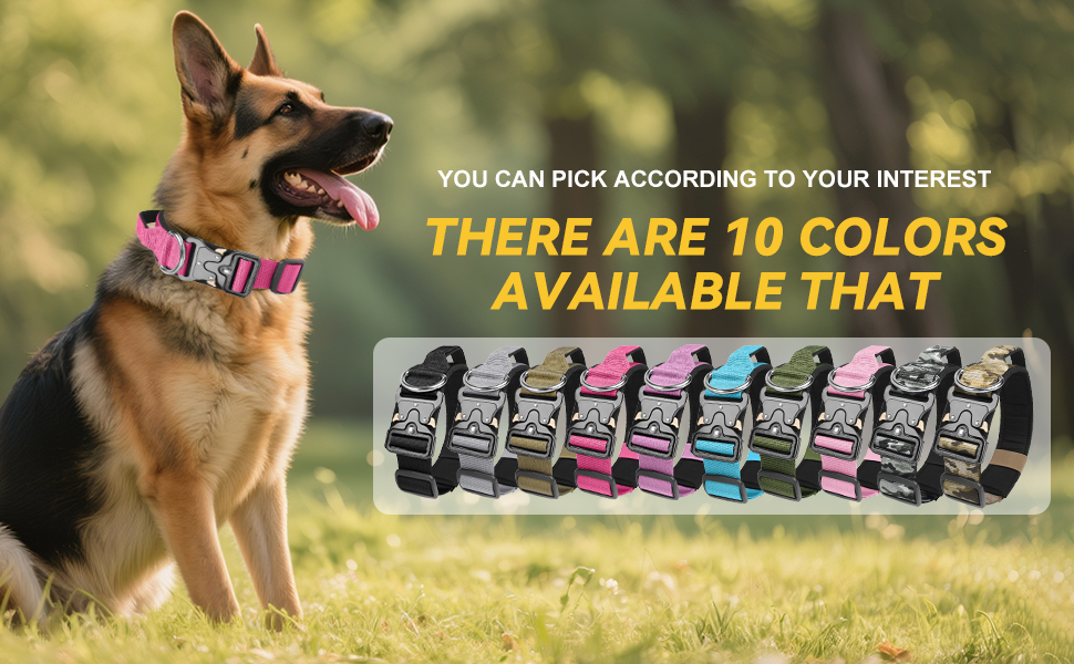Le texte se lit comme suit : « VOUS POUVEZ CHOISIR EN FONCTION DE VOS INTÉRÊTS » et « 10 COULEURS SONT DISPONIBLES ». Images de chiens à l'extérieur avec des bouteilles de produits exposées.