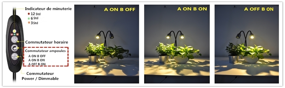 lampe plante