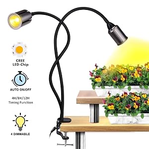 lampe de plante