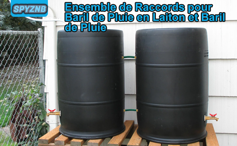 Ensemble de récupérateur d'eau de pluie en laiton et accessoires