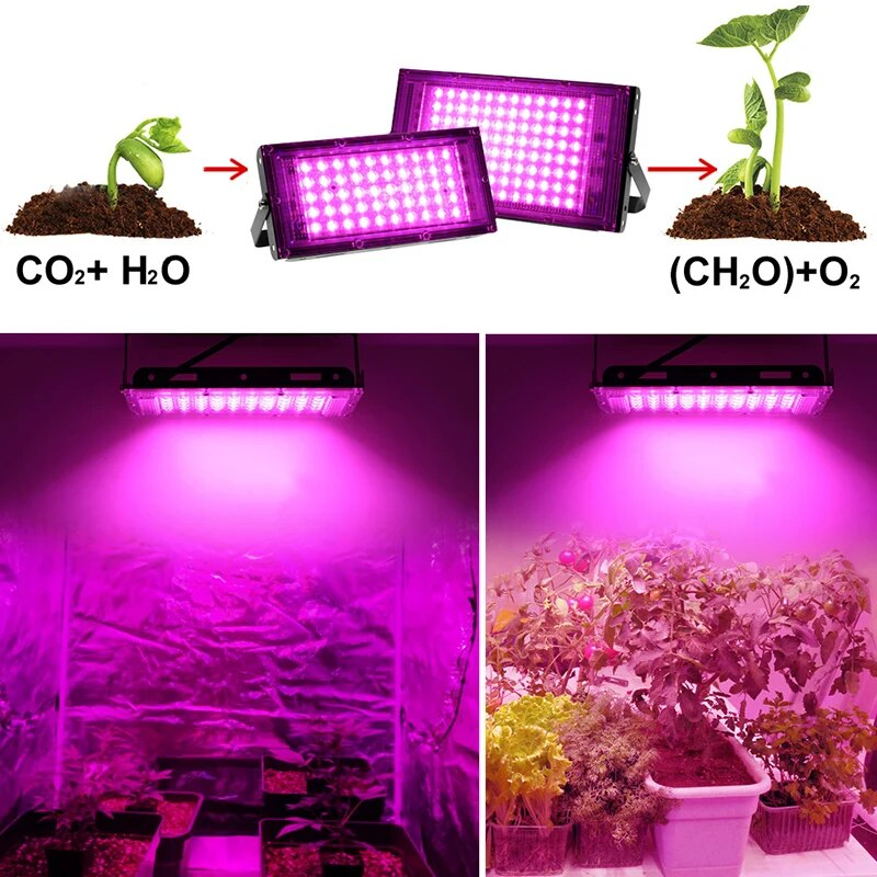 Eclairage horticole,100W Lampe De Culture à Spectre Complet Lampe LED ...